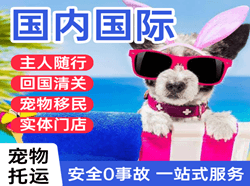 郑州新郑机场货运国际宠物托运 【国